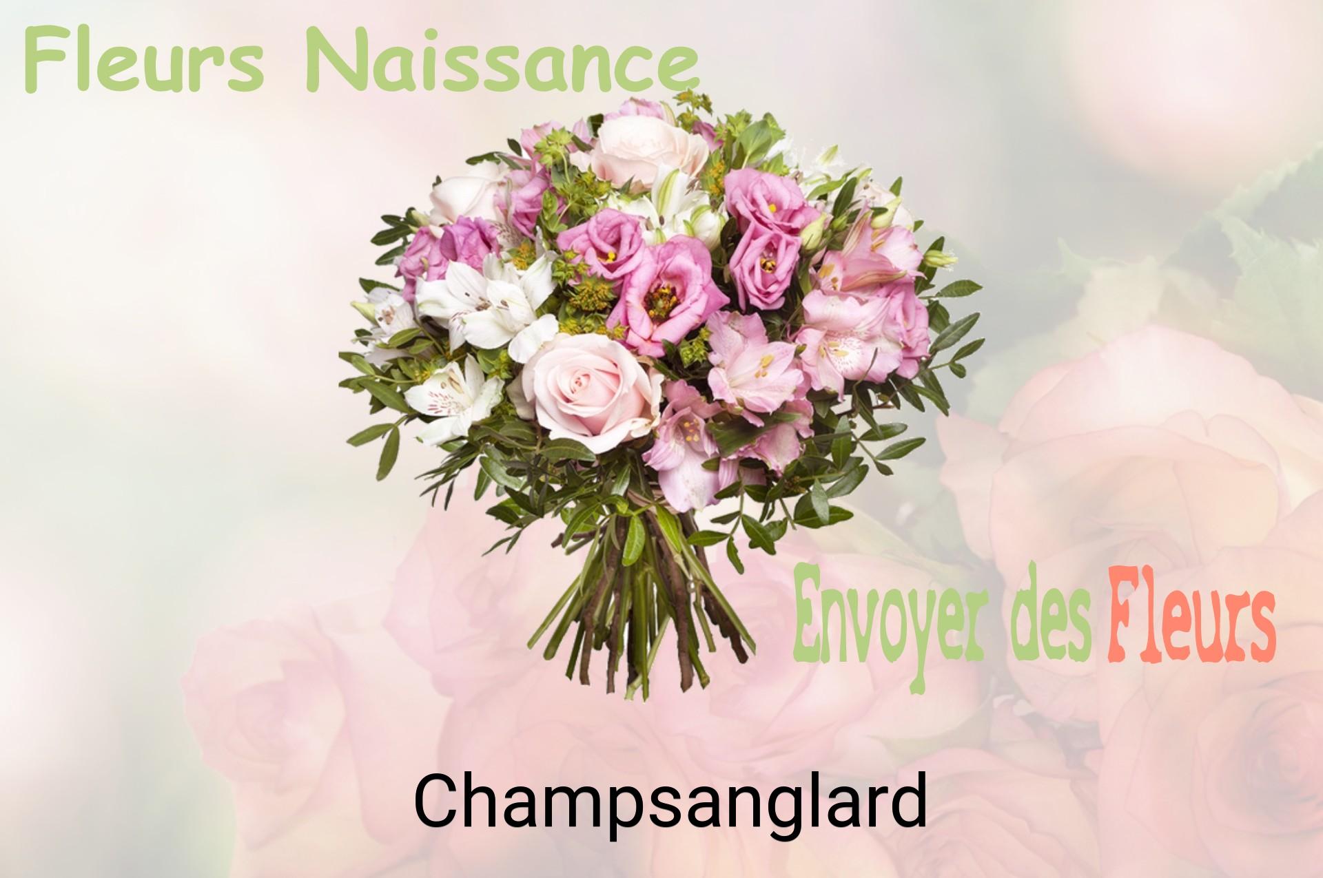 Bouquet de fleurs de naissance livré à Champsanglard