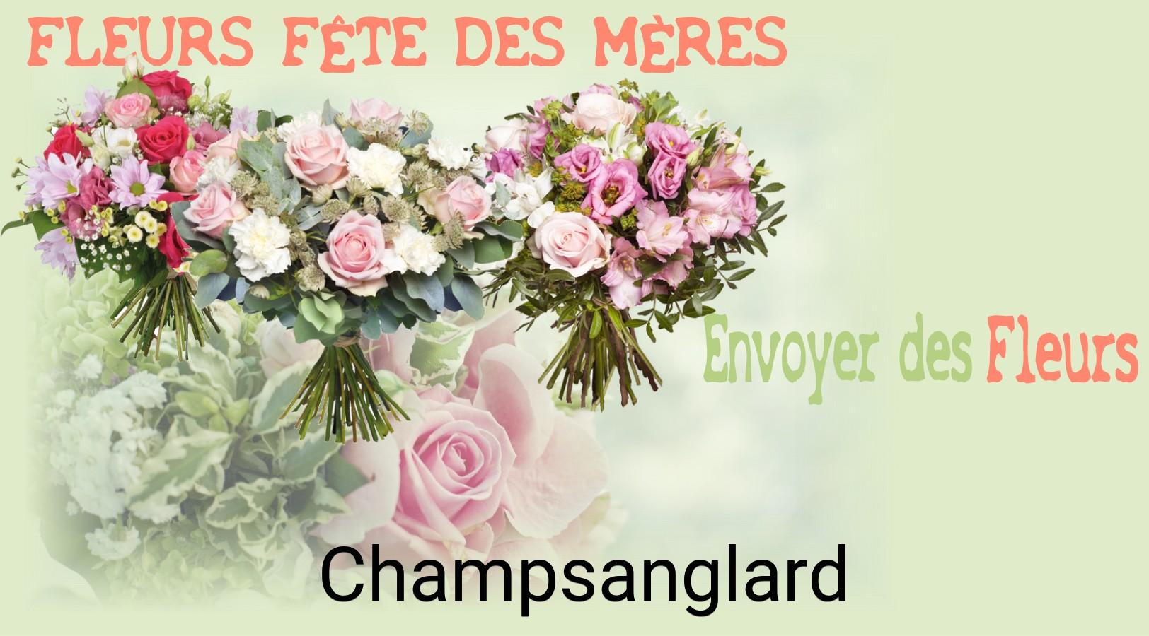 Bouquet de Fête des Mères livré à Champsanglard